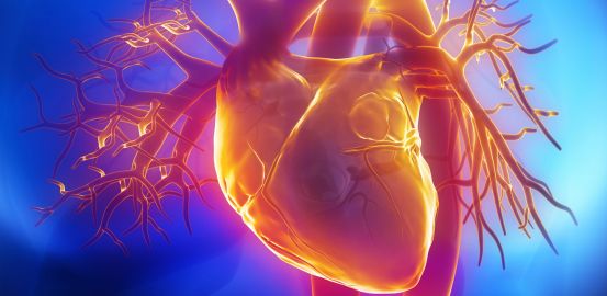 At the heart of cardiovascular technology