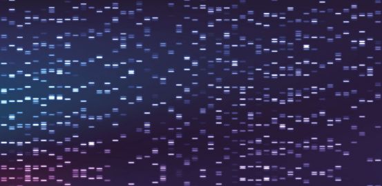 Analyse du génome : se poser les bonnes questions